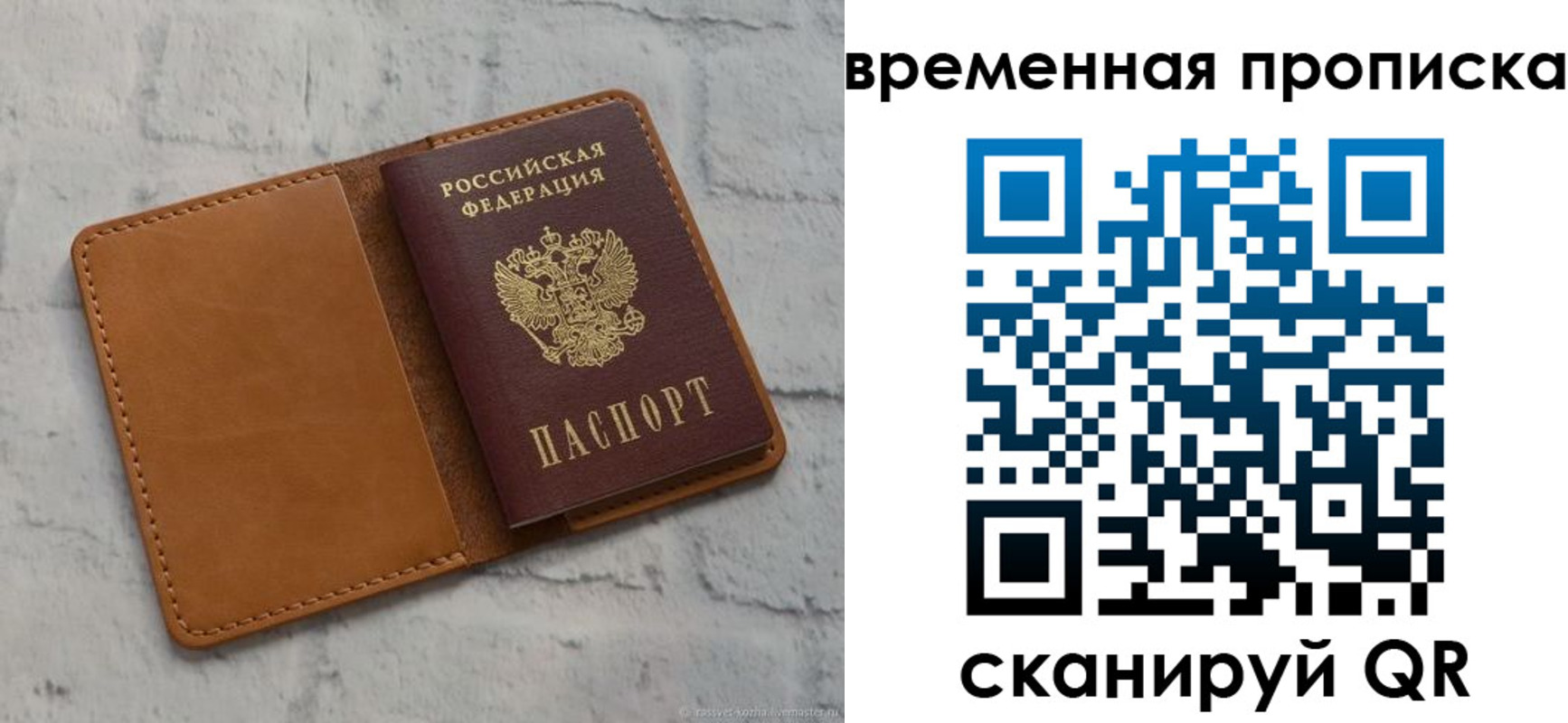 прописка поиск в Волгоградской области